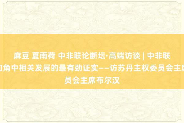 麻豆 夏雨荷 中非联论断坛·高端访谈 | 中非联论断坛口角中相关发展的最有劲证实——访苏丹主权委员会主席布尔汉