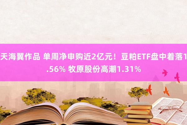 天海翼作品 单周净申购近2亿元！豆粕ETF盘中着落1.56% 牧原股份高潮1.31%