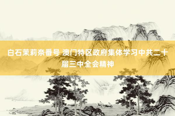 白石茉莉奈番号 澳门特区政府集体学习中共二十届三中全会精神