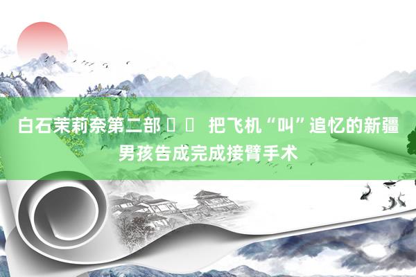 白石茉莉奈第二部 		 把飞机“叫”追忆的新疆男孩告成完成接臂手术