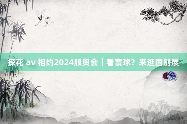 探花 av 相约2024服贸会｜看寰球？来逛国别展