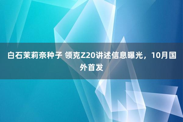 白石茉莉奈种子 领克Z20讲述信息曝光，10月国外首发