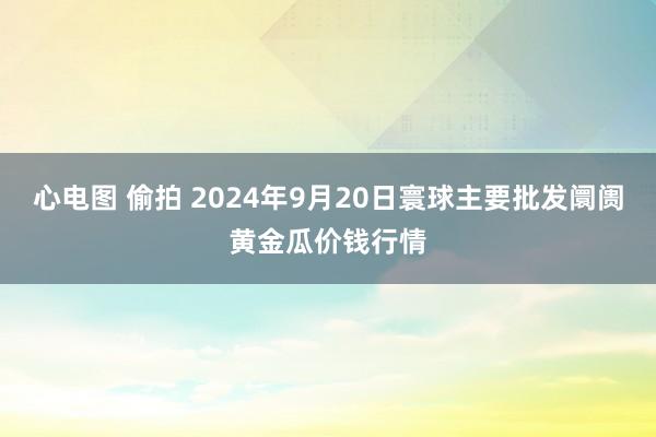 心电图 偷拍 2024年9月20日寰球主要批发阛阓黄金瓜价钱行情