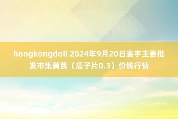 hongkongdoll 2024年9月20日寰宇主要批发市集黄芪（瓜子片0.3）价钱行情