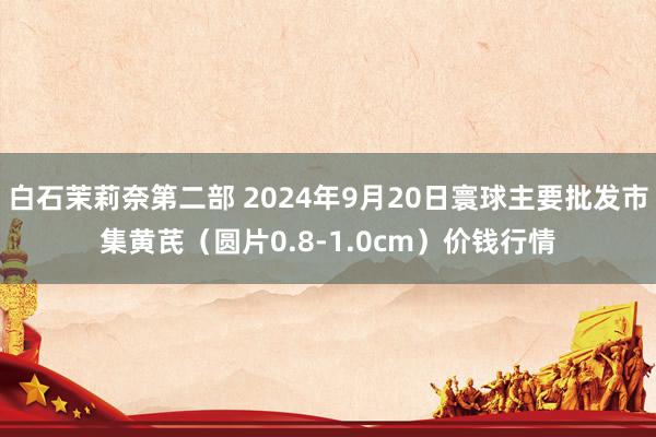 白石茉莉奈第二部 2024年9月20日寰球主要批发市集黄芪（圆片0.8-1.0cm）价钱行情