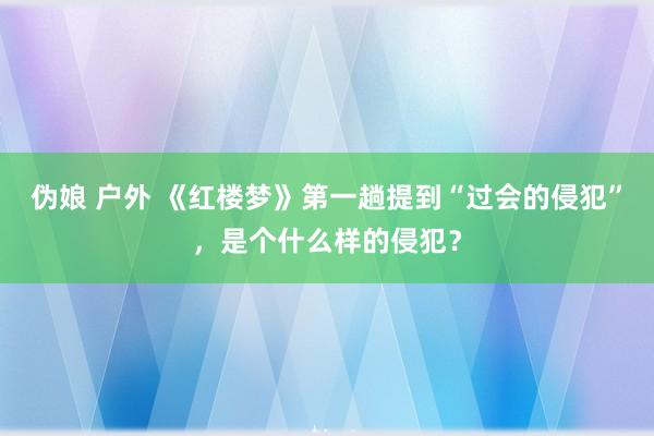 伪娘 户外 《红楼梦》第一趟提到“过会的侵犯”，是个什么样的侵犯？