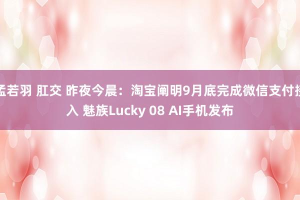 孟若羽 肛交 昨夜今晨：淘宝阐明9月底完成微信支付接入 魅族Lucky 08 AI手机发布