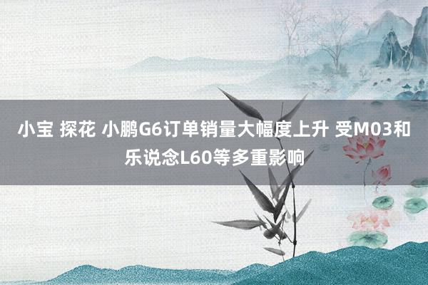 小宝 探花 小鹏G6订单销量大幅度上升 受M03和乐说念L60等多重影响