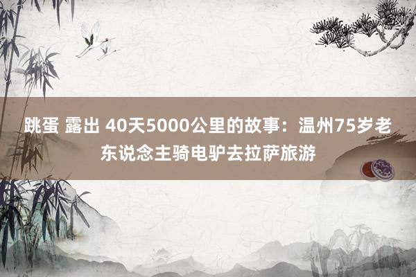 跳蛋 露出 40天5000公里的故事：温州75岁老东说念主骑电驴去拉萨旅游