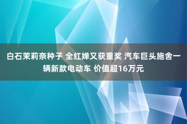 白石茉莉奈种子 全红婵又获重奖 汽车巨头施舍一辆新款电动车 价值超16万元