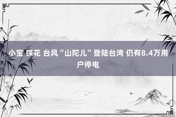 小宝 探花 台风“山陀儿”登陆台湾 仍有8.4万用户停电