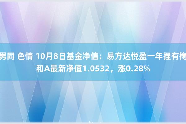 男同 色情 10月8日基金净值：易方达悦盈一年捏有搀和A最新净值1.0532，涨0.28%