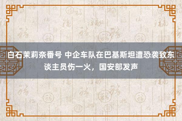 白石茉莉奈番号 中企车队在巴基斯坦遭恐袭致东谈主员伤一火，国安部发声