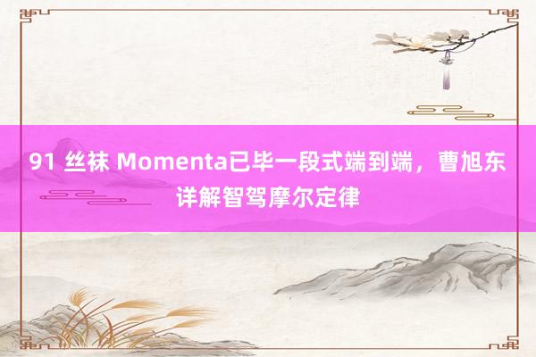 91 丝袜 Momenta已毕一段式端到端，曹旭东详解智驾摩尔定律