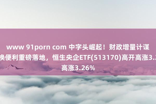 www 91porn com 中字头崛起！财政增量计谋+互换便利重磅落地，恒生央企ETF(513170)高开高涨3.26%