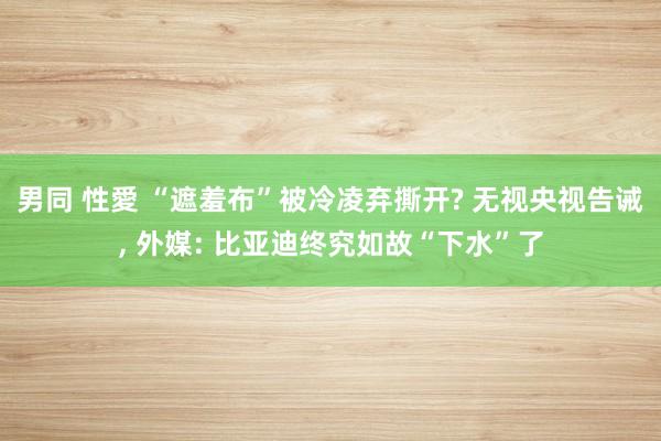 男同 性愛 “遮羞布”被冷凌弃撕开? 无视央视告诫, 外媒: 比亚迪终究如故“下水”了