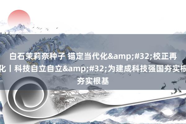 白石茉莉奈种子 锚定当代化&#32;校正再深化丨科技自立自立&#32;为建成科技强国夯实根基