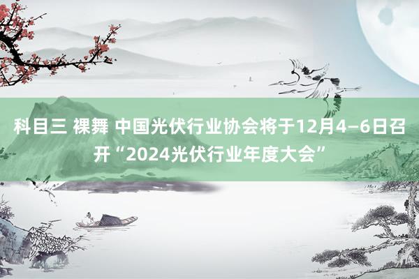 科目三 裸舞 中国光伏行业协会将于12月4—6日召开“2024光伏行业年度大会”