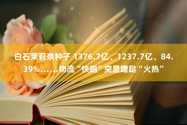 白石茉莉奈种子 1376.7亿、1237.7亿、84.39%……物流“快跑”突显蹧跶“火热”