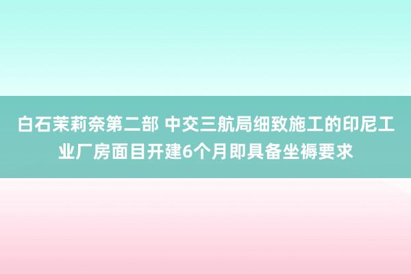 白石茉莉奈第二部 中交三航局细致施工的印尼工业厂房面目开建6个月即具备坐褥要求