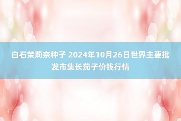 白石茉莉奈种子 2024年10月26日世界主要批发市集长茄子价钱行情