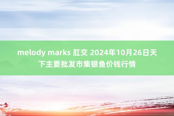 melody marks 肛交 2024年10月26日天下主要批发市集银鱼价钱行情