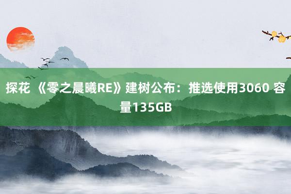 探花 《零之晨曦RE》建树公布：推选使用3060 容量135GB