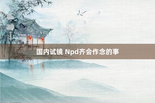 国内试镜 Npd齐会作念的事