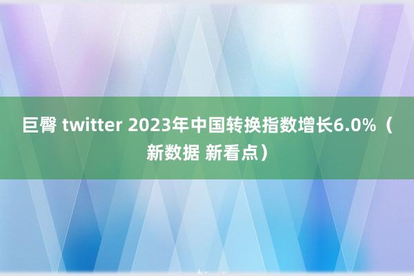 巨臀 twitter 2023年中国转换指数增长6.0%（新数据 新看点）