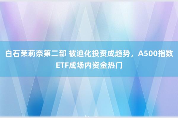 白石茉莉奈第二部 被迫化投资成趋势，A500指数ETF成场内资金热门