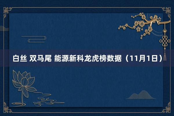 白丝 双马尾 能源新科龙虎榜数据（11月1日）