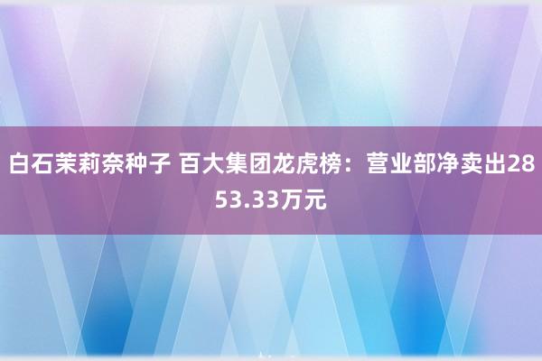 白石茉莉奈种子 百大集团龙虎榜：营业部净卖出2853.33万元