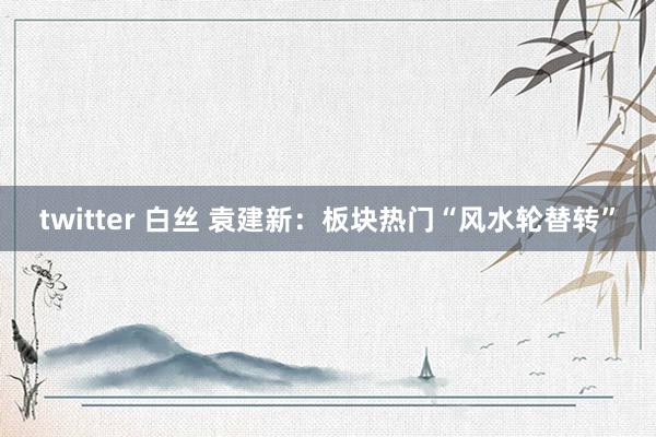 twitter 白丝 袁建新：板块热门“风水轮替转”