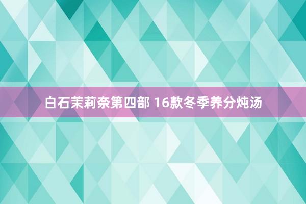 白石茉莉奈第四部 16款冬季养分炖汤