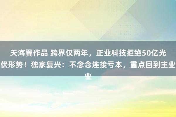 天海翼作品 跨界仅两年，正业科技拒绝50亿光伏形势！独家复兴：不念念连接亏本，重点回到主业