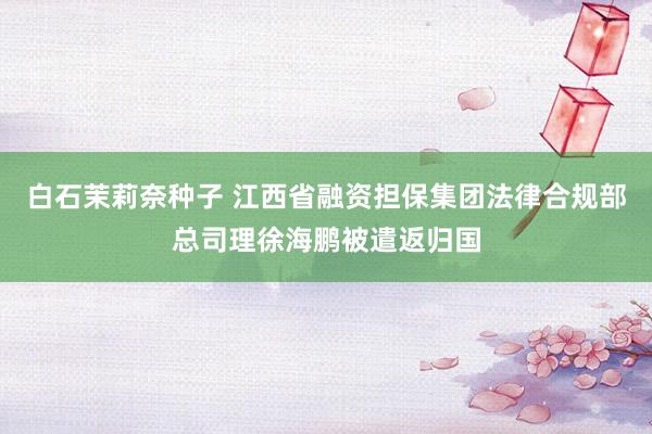 白石茉莉奈种子 江西省融资担保集团法律合规部总司理徐海鹏被遣返归国