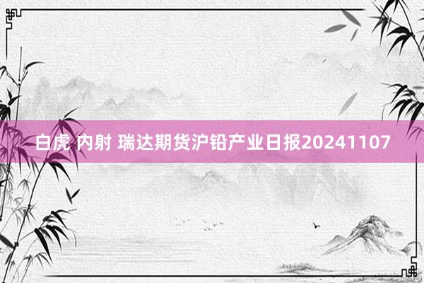 白虎 内射 瑞达期货沪铅产业日报20241107