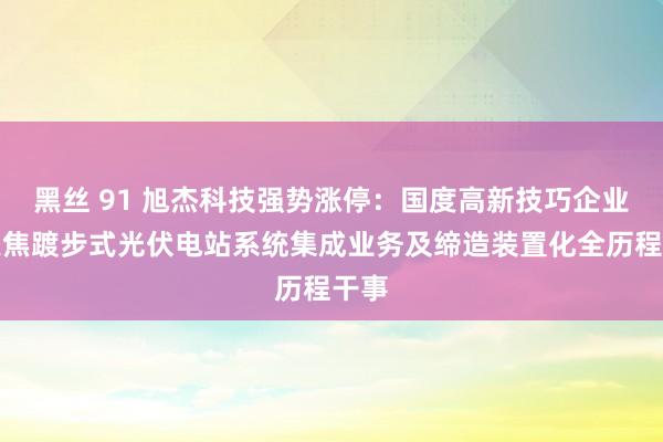 黑丝 91 旭杰科技强势涨停：国度高新技巧企业，聚焦踱步式光伏电站系统集成业务及缔造装置化全历程干事