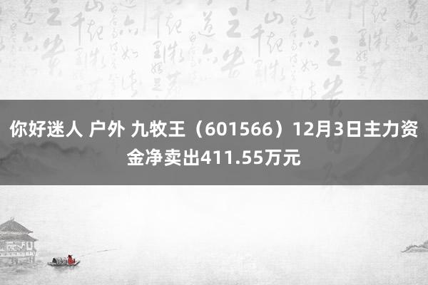 你好迷人 户外 九牧王（601566）12月3日主力资金净卖出411.55万元