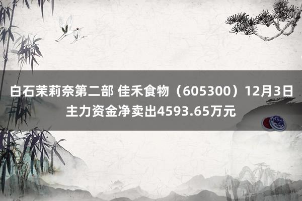 白石茉莉奈第二部 佳禾食物（605300）12月3日主力资金净卖出4593.65万元