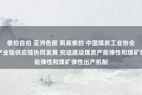 偷拍自拍 亚洲色图 厕底偷拍 中国煤炭工业协会：股东煤炭产业链供应链协同发展 究诘建设煤炭产能弹性和煤矿弹性出产机制