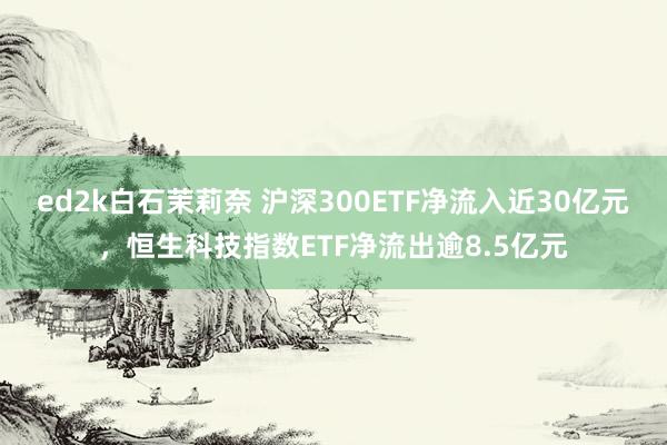 ed2k白石茉莉奈 沪深300ETF净流入近30亿元，恒生科技指数ETF净流出逾8.5亿元