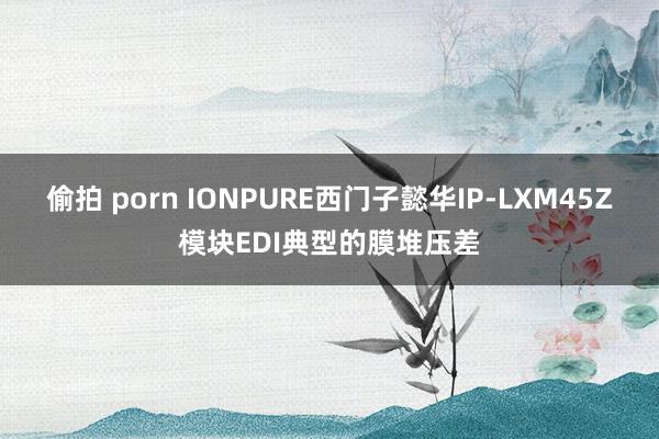 偷拍 porn IONPURE西门子懿华IP-LXM45Z模块EDI典型的膜堆压差