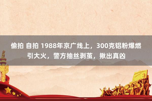 偷拍 自拍 1988年京广线上，300克铝粉爆燃引大火，警方抽丝剥茧，揪出真凶