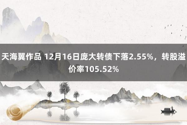 天海翼作品 12月16日庞大转债下落2.55%，转股溢价率105.52%