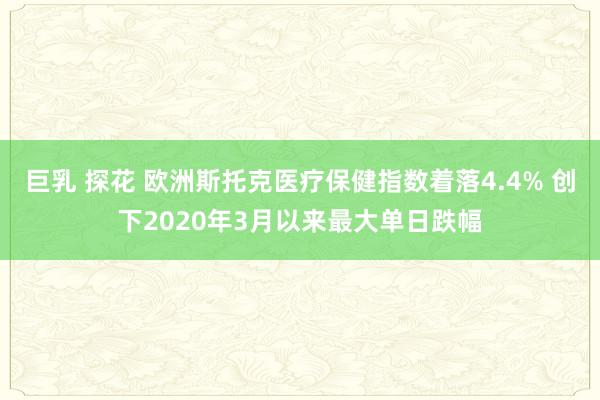 巨乳 探花 欧洲斯托克医疗保健指数着落4.4% 创下2020年3月以来最大单日跌幅