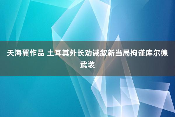 天海翼作品 土耳其外长劝诫叙新当局拘谨库尔德武装