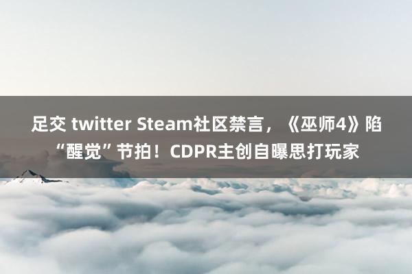 足交 twitter Steam社区禁言，《巫师4》陷“醒觉”节拍！CDPR主创自曝思打玩家