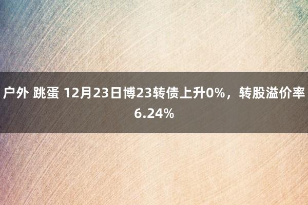 户外 跳蛋 12月23日博23转债上升0%，转股溢价率6.24%