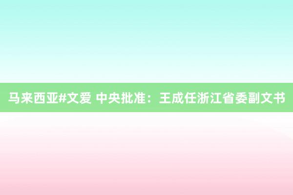 马来西亚#文爱 中央批准：王成任浙江省委副文书